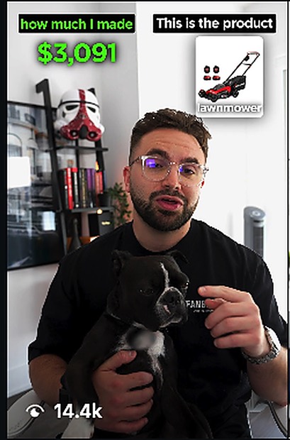 Shayne reel